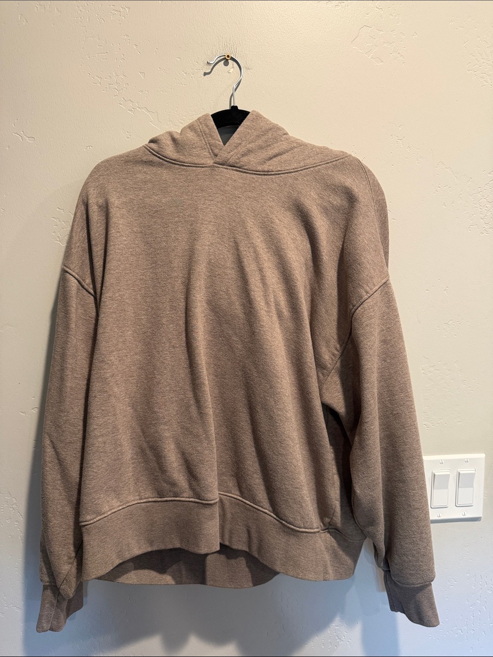 American Eagle Outfitters Cozy Hooded Pullover - Taupe Brown
